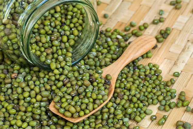 Green Mung Bean